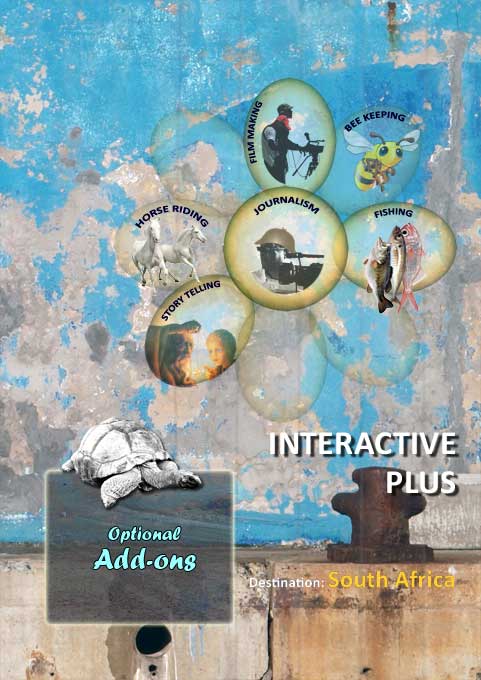 Interactive Plus