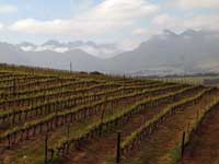 Endless vineyards stretching along the skyline; scrawling, cycling or even by quad bike are ways of venturing the unknown