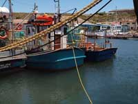 Fishing Vessels resting before leaving Saldanha Bay for their next catch