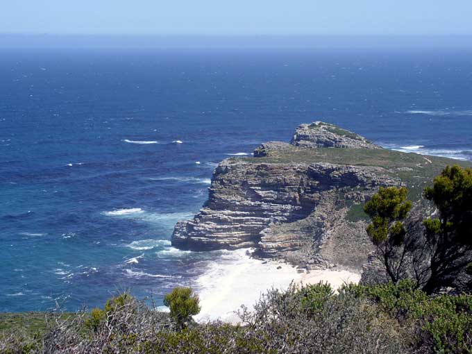 Ibis at the Cape of Good Hope