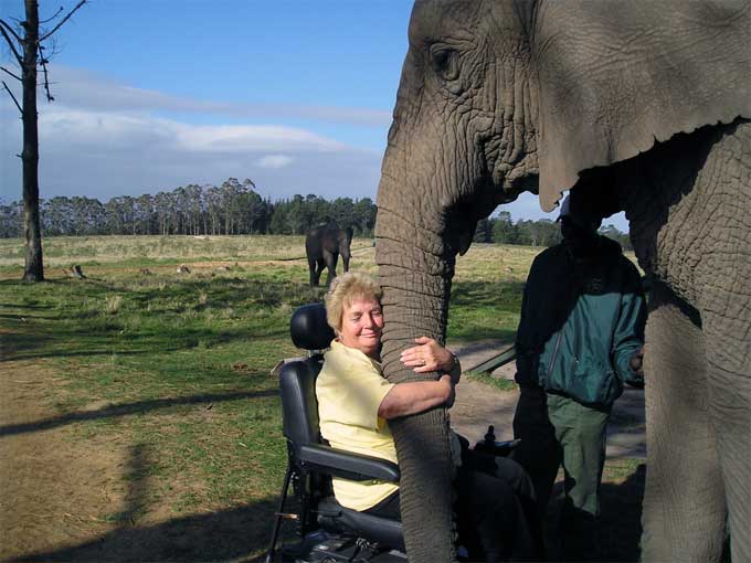 Hugging an Elephant