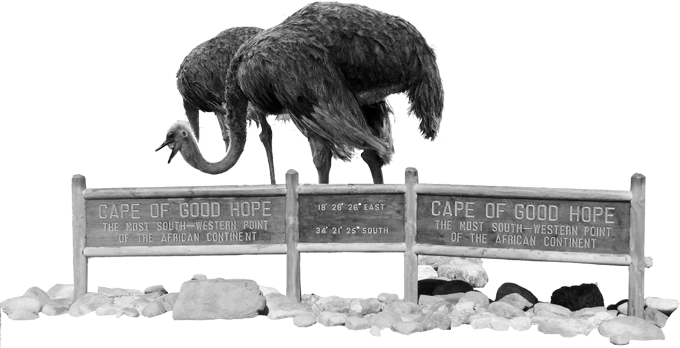 Cape of Good Hope announcement