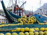 Hout Bay harbour