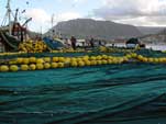 Hout Bay harbour entrance