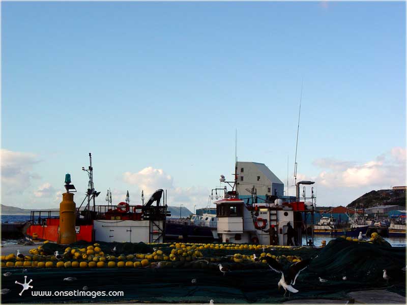 Hout Bay harbour