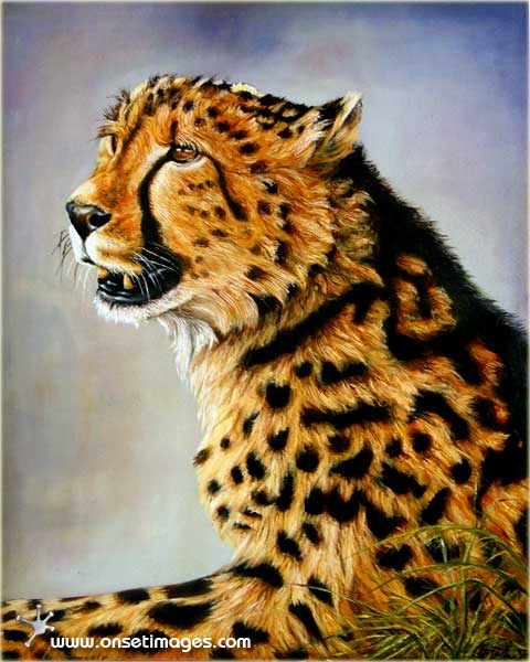 Leopart by Artist Keith Zenda