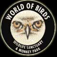 World Of Birds